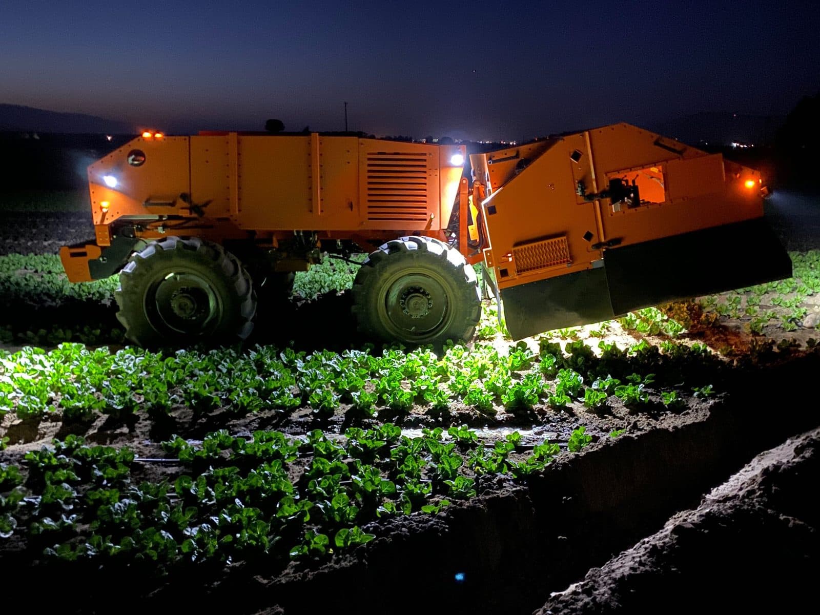 FarmWise's Titan FT-35 weeding a lettuce field at night